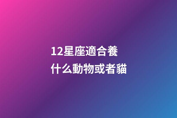 12星座適合養什么動物或者貓-第1張-星座運勢-玄機派