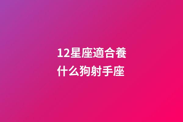 12星座適合養什么狗射手座-第1張-星座運勢-玄機派