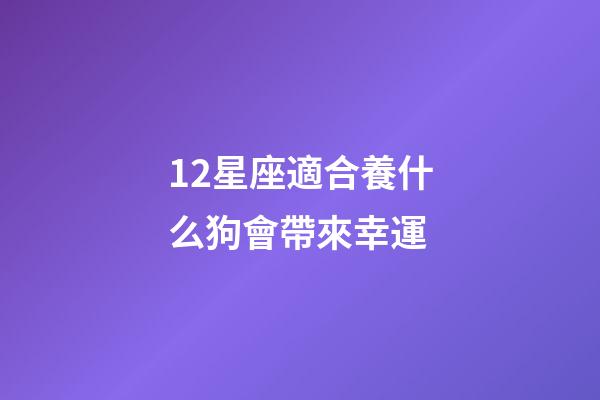 12星座適合養什么狗會帶來幸運-第1張-星座運勢-玄機派