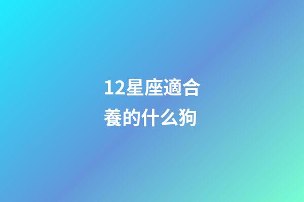 12星座適合養的什么狗-第1張-星座運勢-玄機派