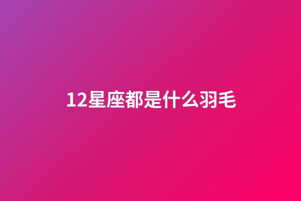 12星座都是什么羽毛-第1張-星座運勢-玄機派