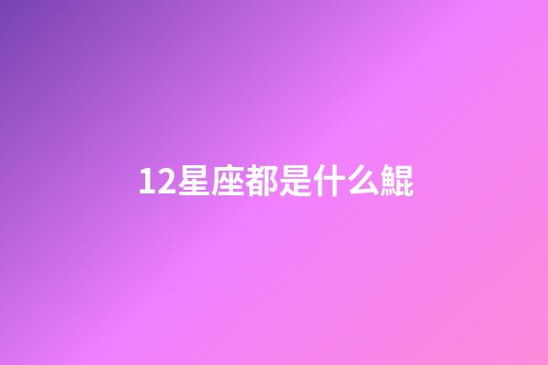 12星座都是什么鯤-第1張-星座運勢-玄機派