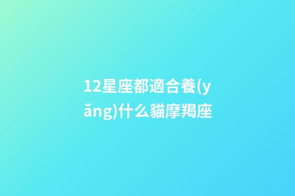 12星座都適合養(yǎng)什么貓摩羯座-第1張-星座運(yùn)勢(shì)-玄機(jī)派