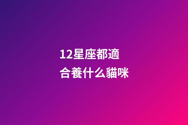 12星座都適合養什么貓咪
