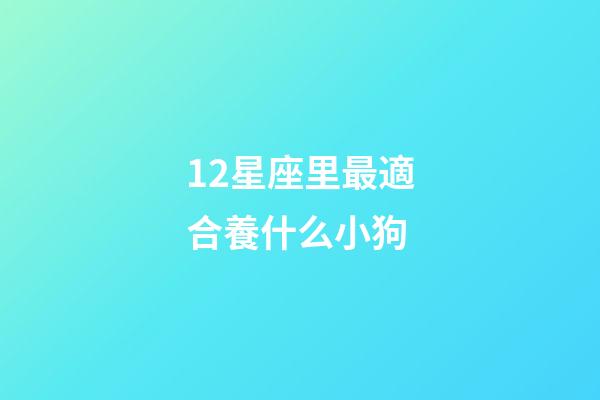 12星座里最適合養什么小狗-第1張-星座運勢-玄機派