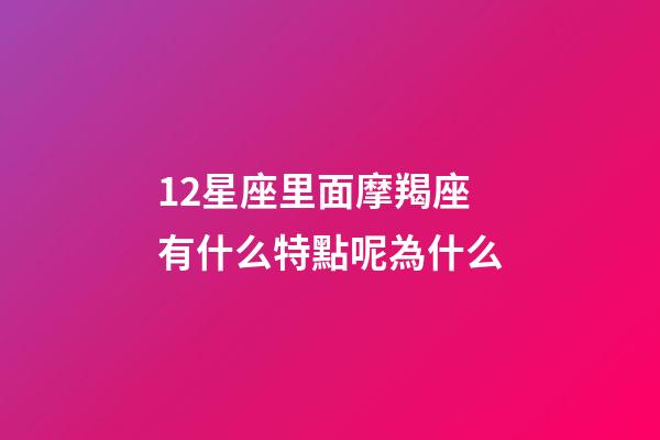 12星座里面摩羯座有什么特點呢為什么-第1張-星座運勢-玄機派