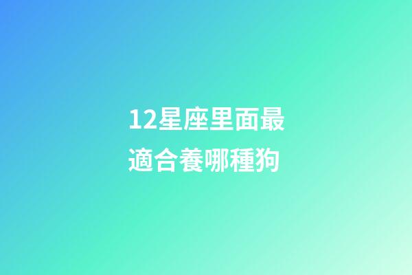 12星座里面最適合養哪種狗-第1張-星座運勢-玄機派