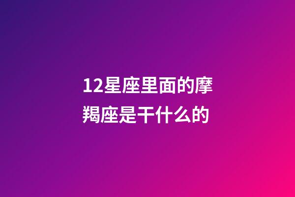 12星座里面的摩羯座是干什么的-第1張-星座運勢-玄機派