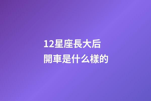 12星座長大后開車是什么樣的-第1張-星座運勢-玄機派