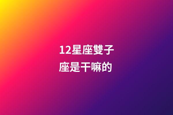12星座雙子座是干嘛的-第1張-星座運勢-玄機派