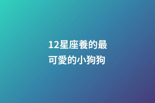 12星座養的最可愛的小狗狗-第1張-星座運勢-玄機派
