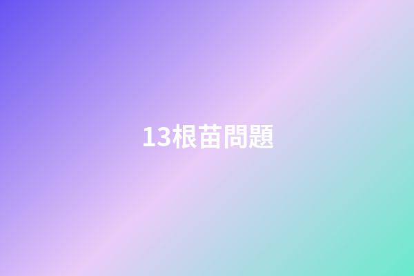 13.根苗問題