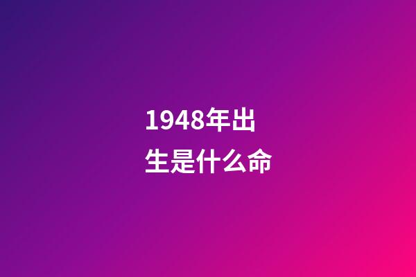 1948年出生是什么命