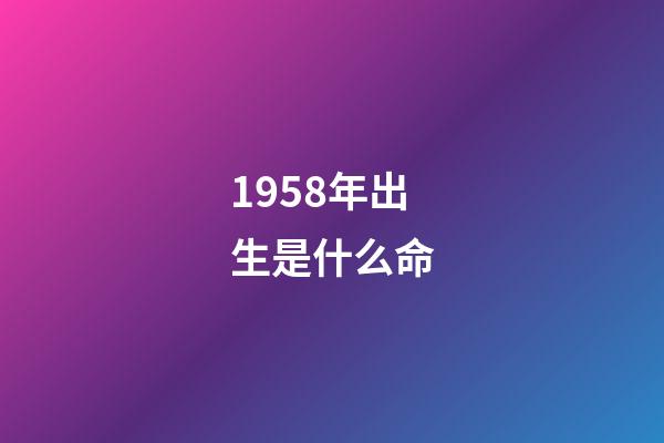 1958年出生是什么命