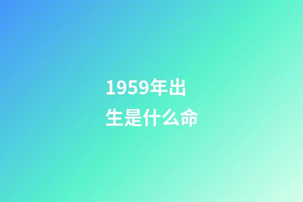 1959年出生是什么命