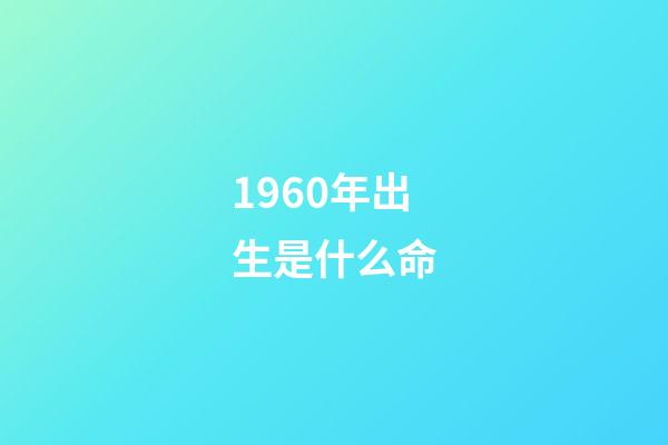 1960年出生是什么命