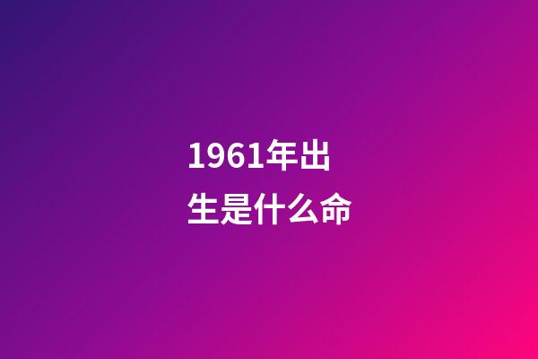 1961年出生是什么命