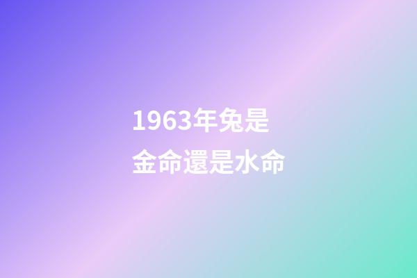1963年兔是金命還是水命(1963年出生的公務員，40年的工齡，退休能領多高的養老金？)-第1張-觀點-玄機派