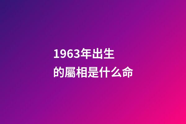 1963年出生的屬相是什么命(中國的60后，1963年出生的人，是最幸運的人群)-第1張-觀點-玄機派