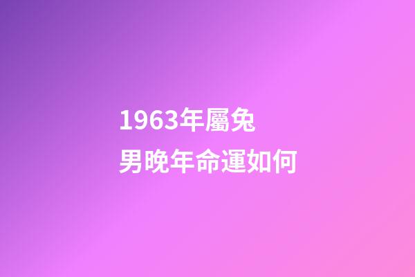 1963年屬兔男晚年命運如何(專家統計：這三大生肖晚年多是多福多金之人!)-第1張-觀點-玄機派