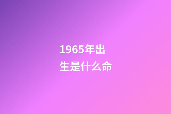1965年出生是什么命
