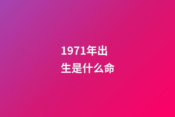 1971年出生是什么命