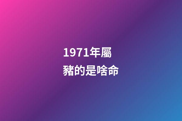 1971年屬豬的是啥命(1961~1971年出生且當年交過計劃生育罰款的農民，現如今要享福了)-第1張-觀點-玄機派