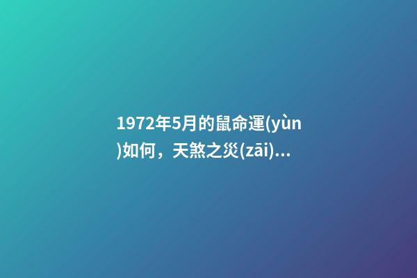 1972年5月的鼠命運(yùn)如何，天煞之災(zāi)1972年“苦命鼠”遇到“麻煩事了”-第1張-觀點(diǎn)-玄機(jī)派