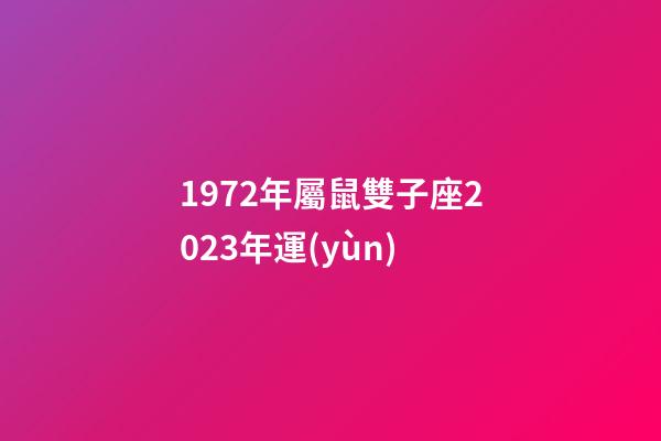 1972年屬鼠雙子座2023年運(yùn)-第1張-星座運(yùn)勢-玄機(jī)派