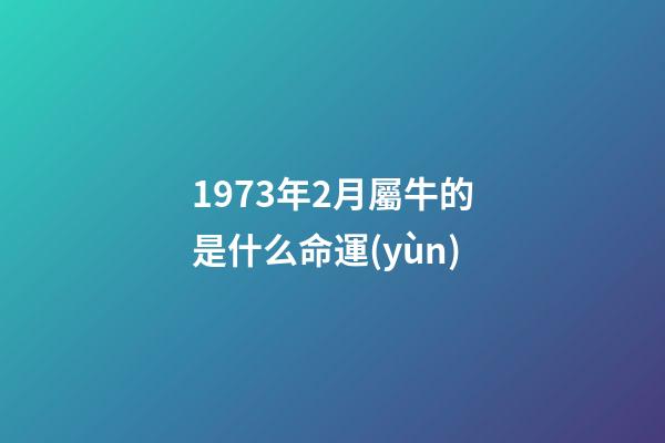 1973年2月屬牛的是什么命運(yùn)(屬牛人未來(lái)幾年的婚姻事業(yè)及晚年運(yùn)勢(shì))-第1張-觀點(diǎn)-玄機(jī)派