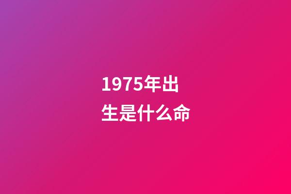 1975年出生是什么命
