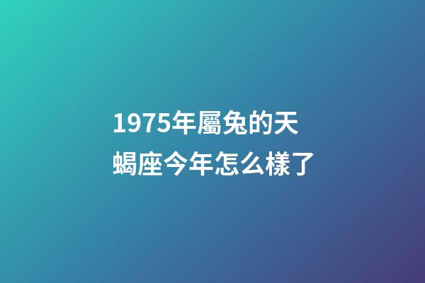 1975年屬兔的天蝎座今年怎么樣了-第1張-星座運勢-玄機派
