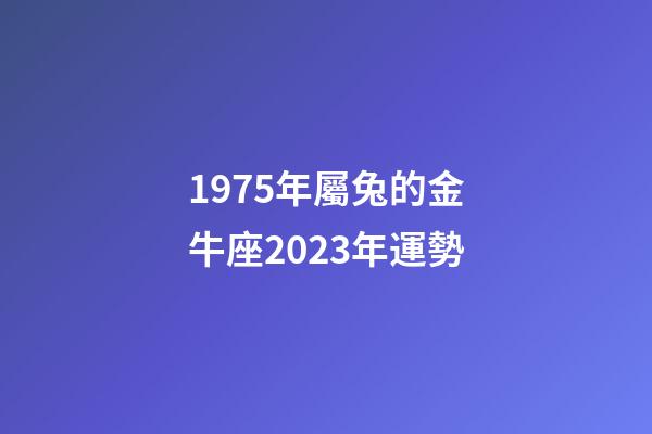 1975年屬兔的金牛座2023年運勢