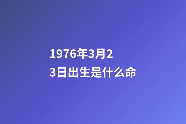 1976年3月23日出生是什么命(撒貝寧和李白的故事)-第1張-觀點-玄機派