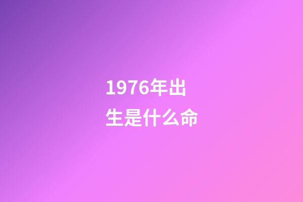1976年出生是什么命