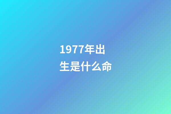 1977年出生是什么命