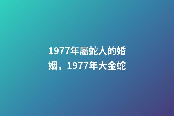 1977年屬蛇人的婚姻，1977年大金蛇-第1張-觀點(diǎn)-玄機(jī)派