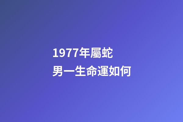1977年屬蛇男一生命運如何(53、65、77年肖蛇人在17年運程)-第1張-觀點-玄機派