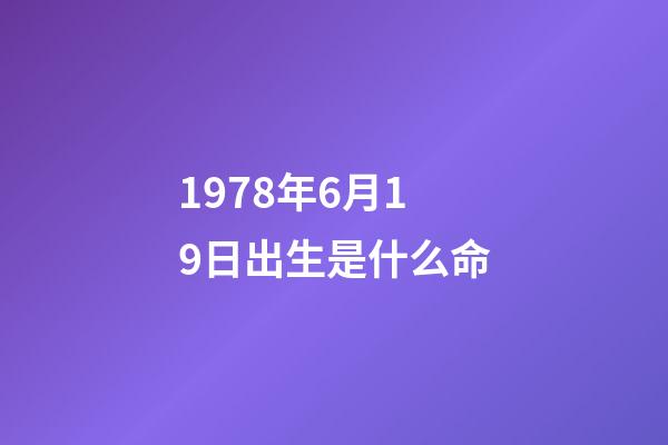 1978年6月19日出生是什么命(20省份公布最新人口數據，中國人口格局出現這些變化)-第1張-觀點-玄機派