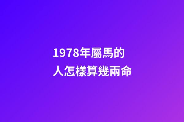 1978年屬馬的人怎樣算幾兩命(內蒙42年工齡個人賬戶11.5萬，繳費指數100%，退休后養老金有多少)-第1張-觀點-玄機派