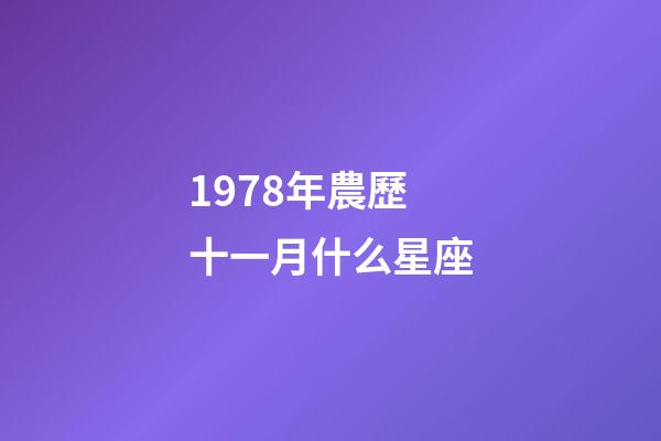 1978年農歷十一月什么星座-第1張-星座運勢-玄機派