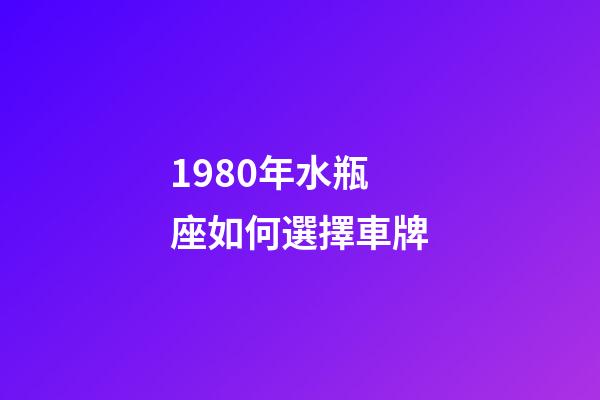 1980年水瓶座如何選擇車牌-第1張-星座運勢-玄機派