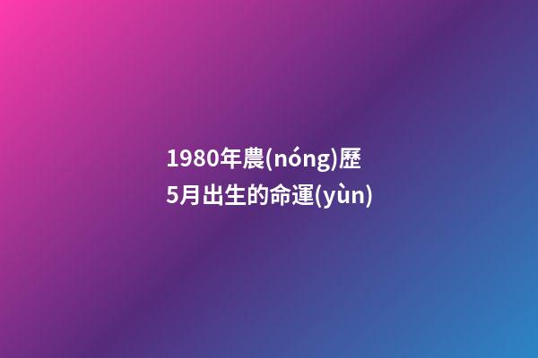 1980年農(nóng)歷5月出生的命運(yùn)(從農(nóng)歷出生月份看你一生會(huì)是富翁還是“負(fù)翁”？)-第1張-觀點(diǎn)-玄機(jī)派