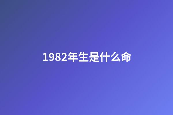1982年生是什么命