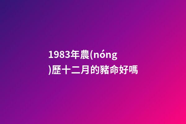 1983年農(nóng)歷十二月的豬命好嗎(5年磨一劍，中國(guó)女籃成為世界亞軍有太多故事可講)-第1張-觀點(diǎn)-玄機(jī)派