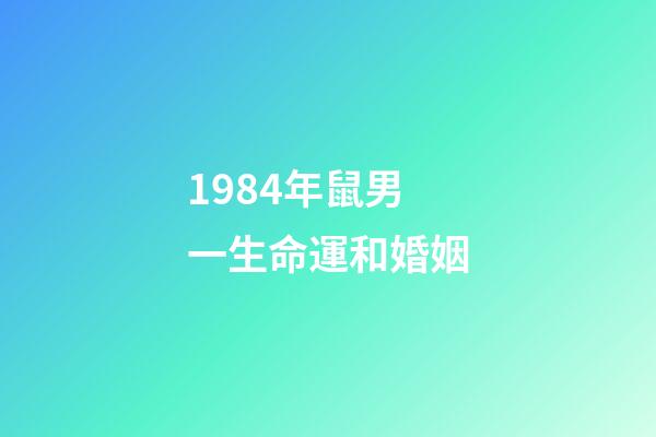 1984年鼠男一生命運和婚姻(2017年生肖運勢：1984年生肖鼠的感情運勢)-第1張-觀點-玄機派