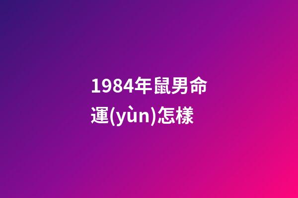 1984年鼠男命運(yùn)怎樣(生在這幾年的人龍鳳命，是男官運(yùn)亨通，是女財(cái)運(yùn)紅火)-第1張-觀點(diǎn)-玄機(jī)派