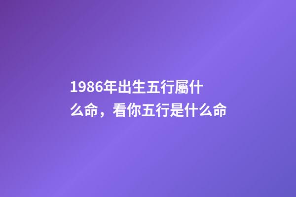1986年出生五行屬什么命，看你五行是什么命-第1張-觀點-玄機派