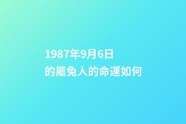 1987年9月6日的屬兔人的命運如何(屬兔之人：6月4日，吉兇預測，最準!)-第1張-觀點-玄機派