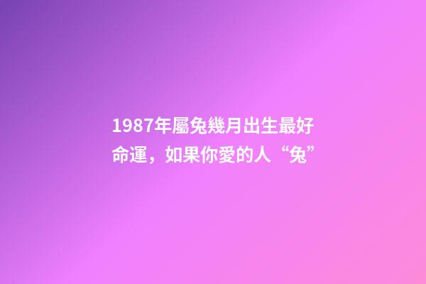 1987年屬兔幾月出生最好命運，如果你愛的人“兔”-第1張-觀點-玄機派